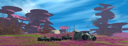 The Fungal Forest